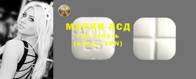 дживик Зерноград