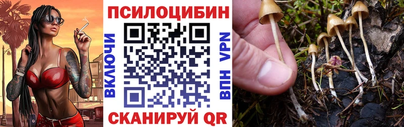 Галлюциногенные грибы прущие грибы  Купить  Губаха 