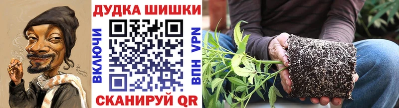 МАРИХУАНА планчик  Купить закладки  Губаха 
